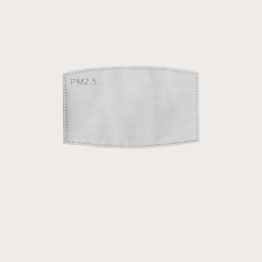 Changable PM2.5 Filters (FILTERS FOR ARI MASK) - Do Goods®